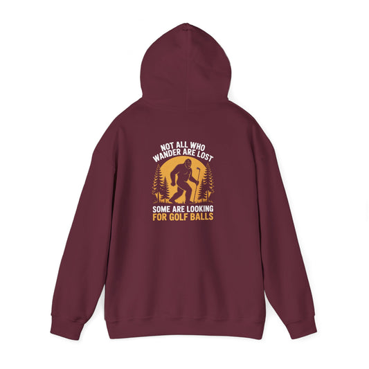 Not All Who Wander Are Lost Looking for Golf Balls Hoodie Printify