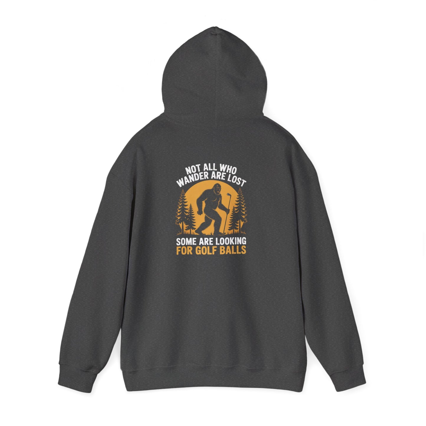 Not All Who Wander Are Lost Looking for Golf Balls Hoodie Printify