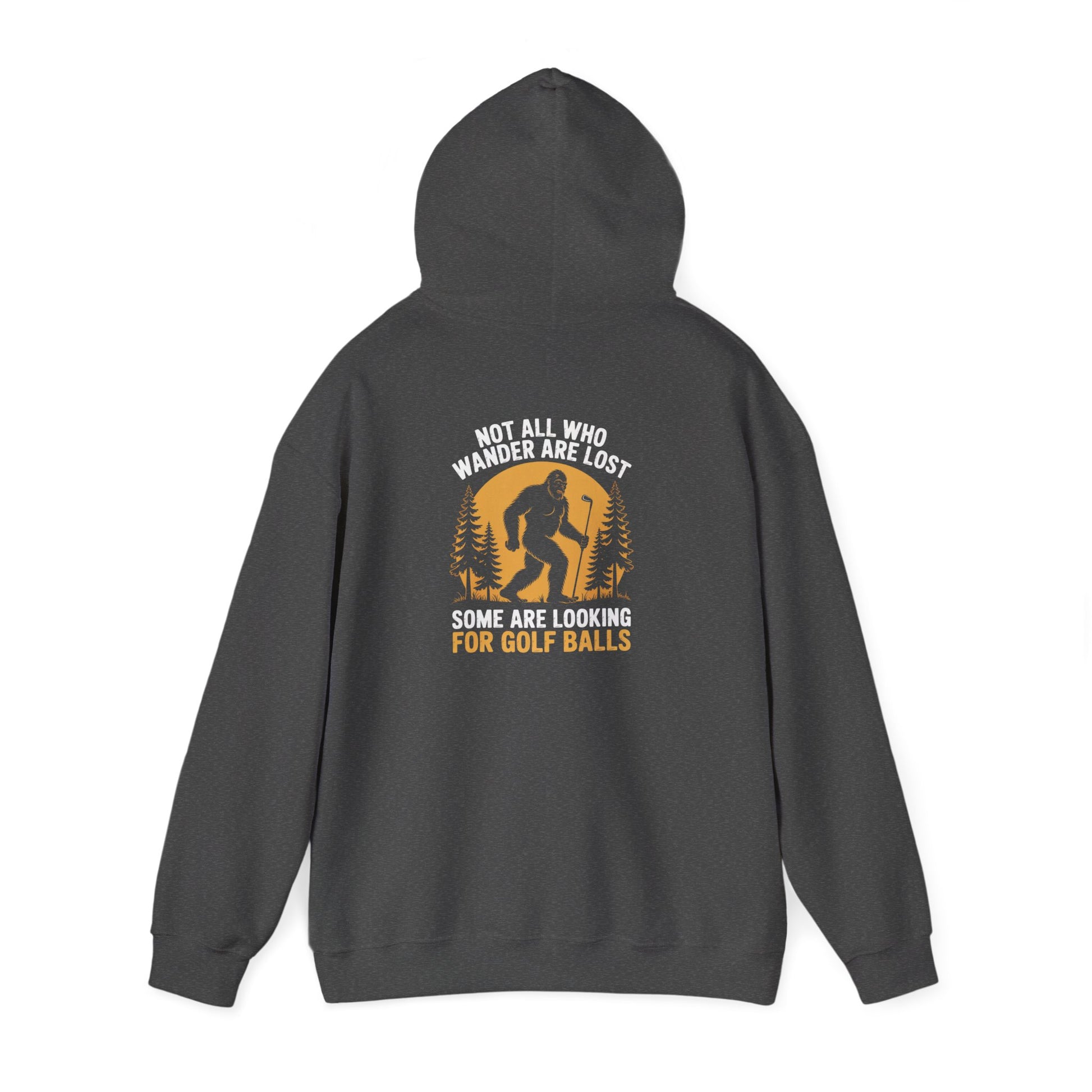 Not All Who Wander Are Lost Looking for Golf Balls Hoodie Printify