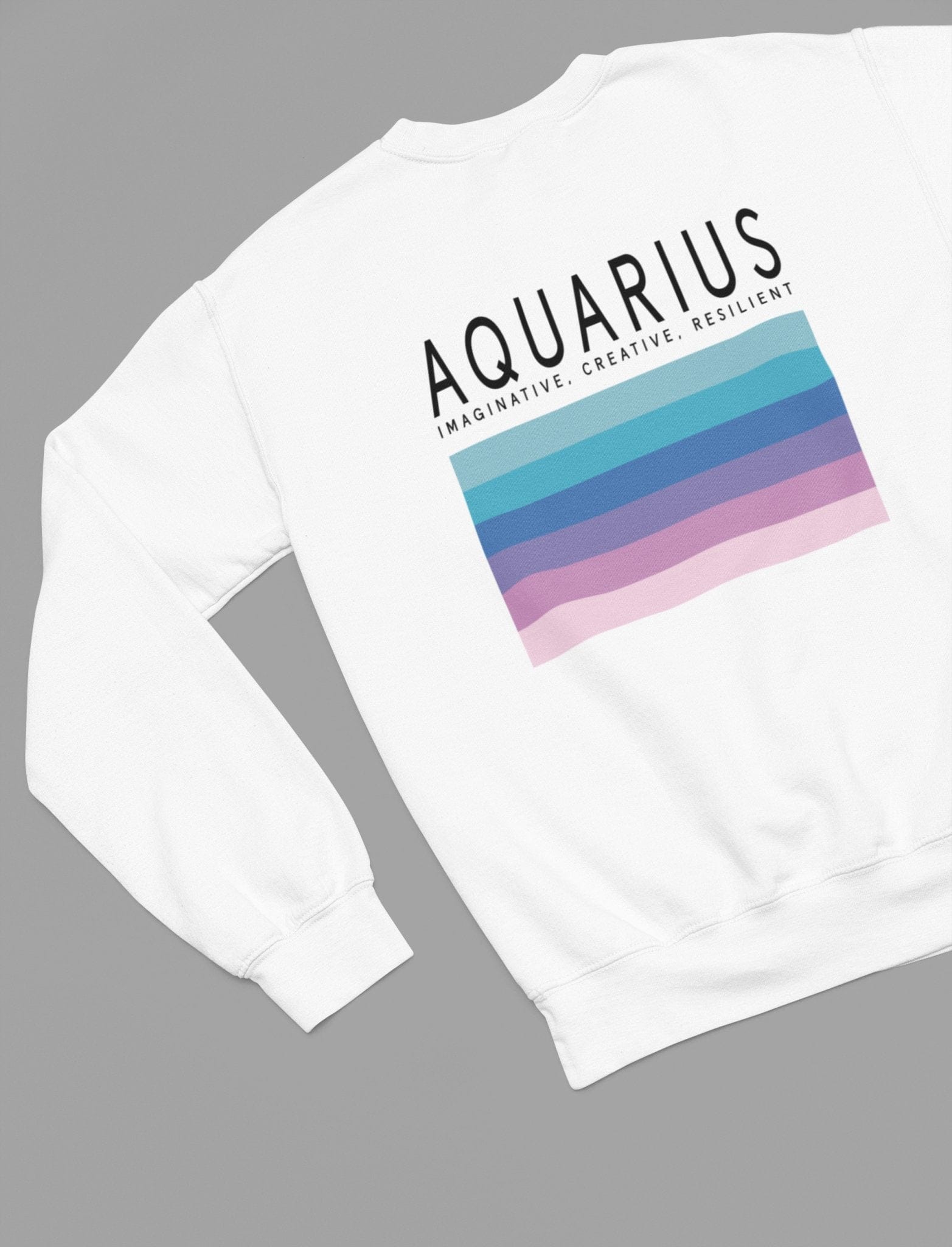 AQUARIUS Zodiac Colour Palette Sweatshirt gift_idea unique_gift personalised_gift