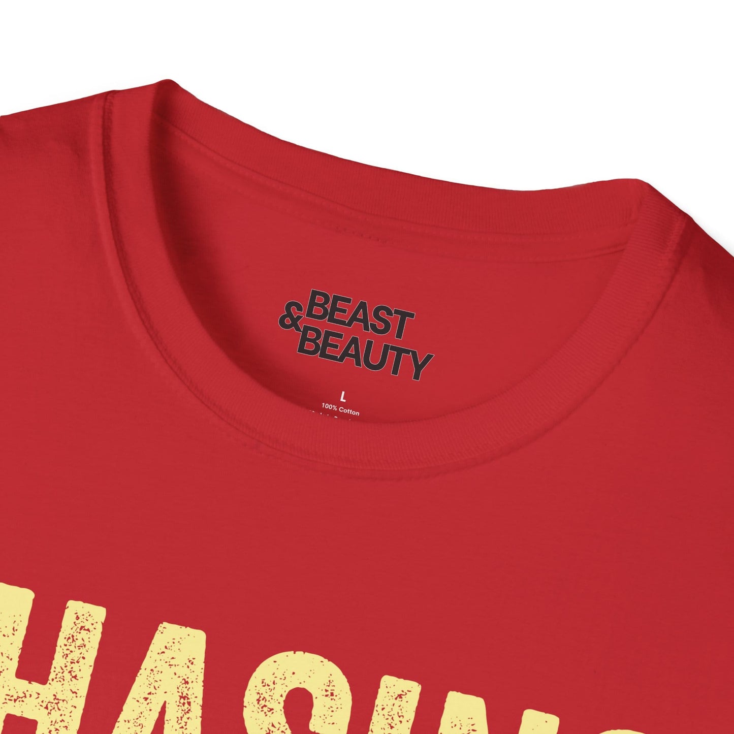 chasing sunshine t-shirt t-shirt uk gift gift idea image 8