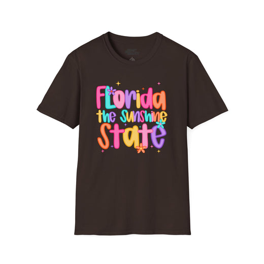 florida the sunshine state t-shirt dark chocolate t-shirt uk gift gift idea