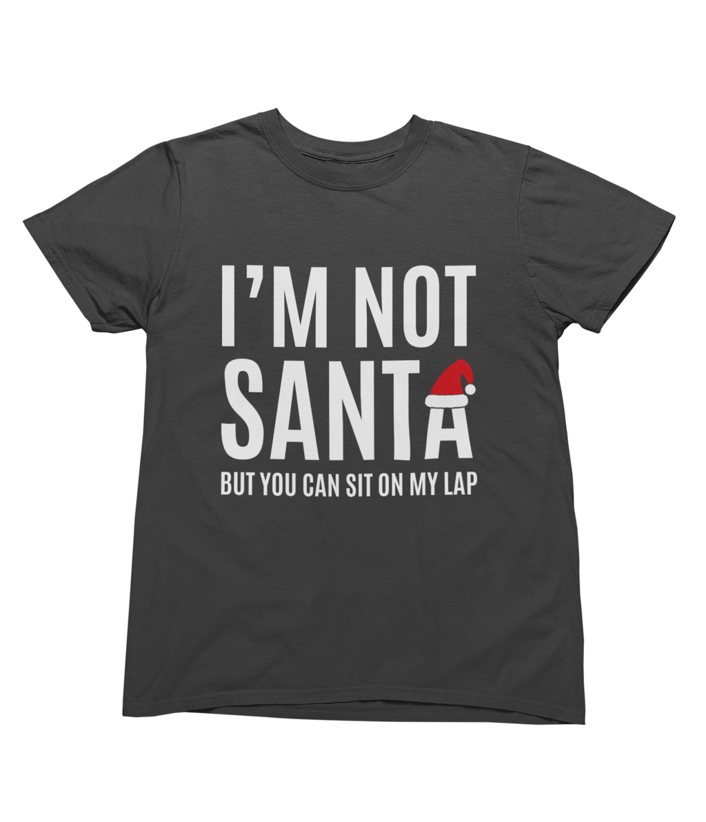 My Store Xmas Clothing T-Shirt / small / Grey Funny Santa Lap Christmas Jumper – Cheeky Adult Xmas Sweatshirt
