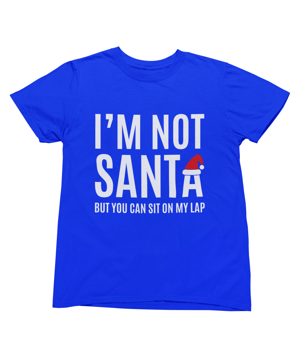 My Store Xmas Clothing T-Shirt / small / Blue Funny Santa Lap Christmas Jumper – Cheeky Adult Xmas Sweatshirt