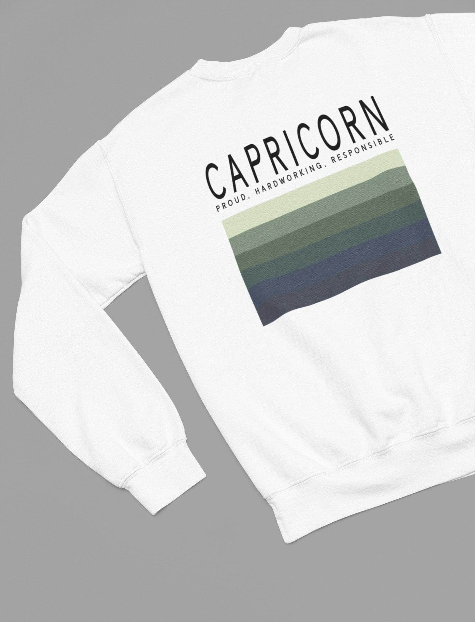 My Store Zodiac Sweatshirt CAPRICORN Zodiac Colour Palette Sweatshirt