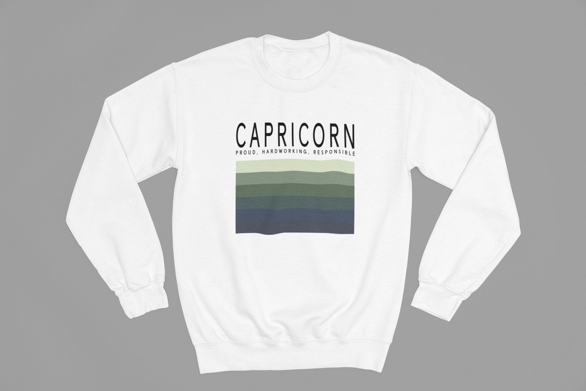My Store Zodiac Sweatshirt CAPRICORN Zodiac Colour Palette Sweatshirt